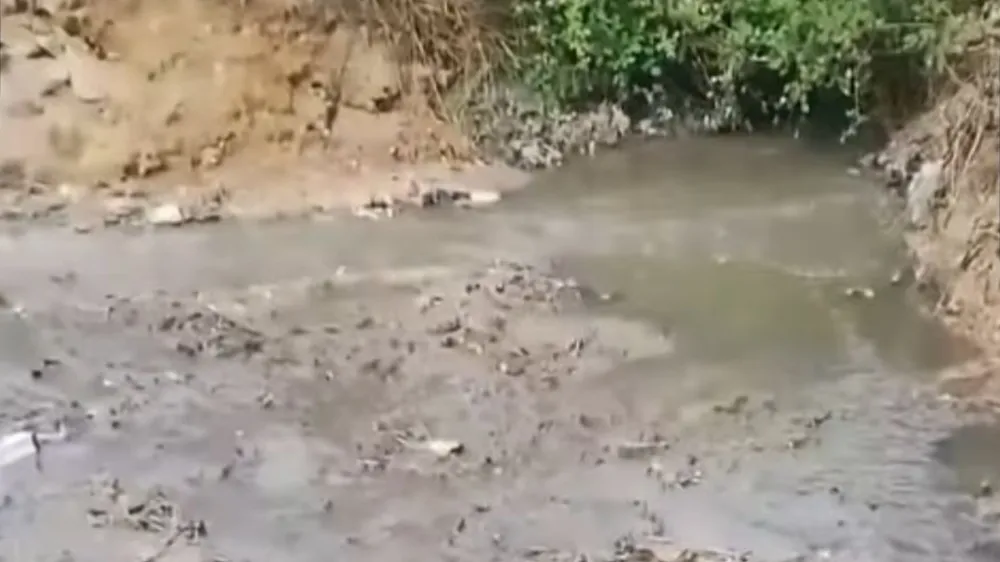 ÇAYIROVA’DA LAĞIM KABUSU: MİLLET BAHÇESİ’NİN YANI PİSLİK KOKUSUNA TESLİM