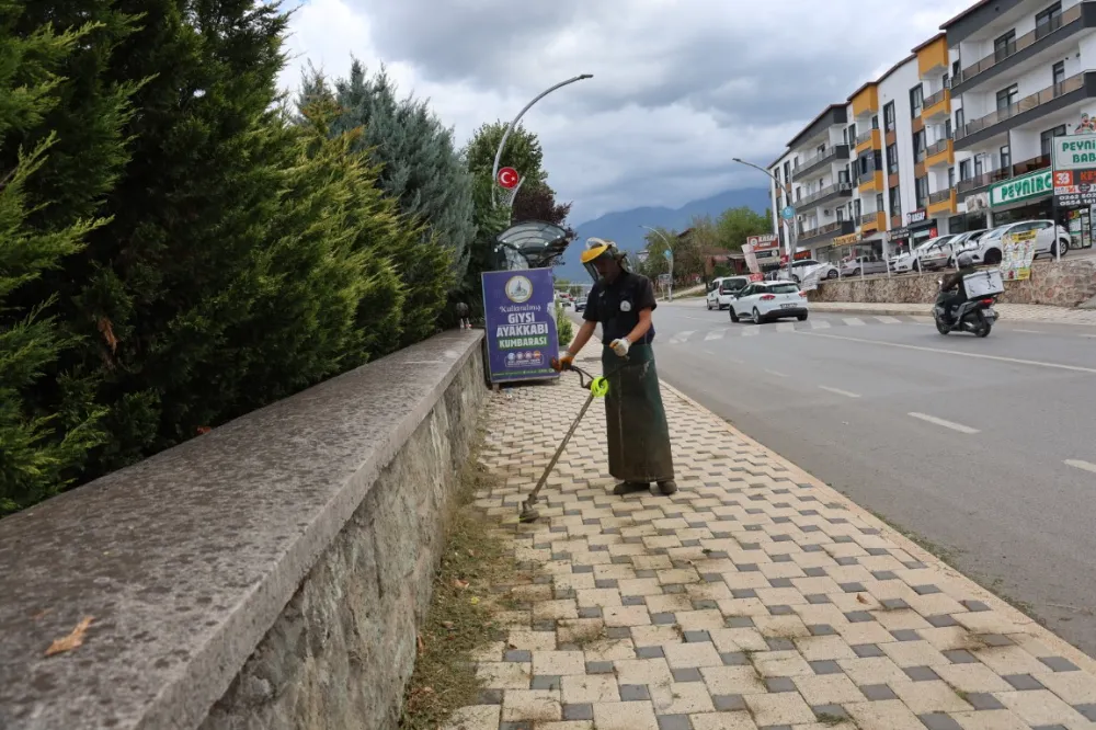 KARTEPE